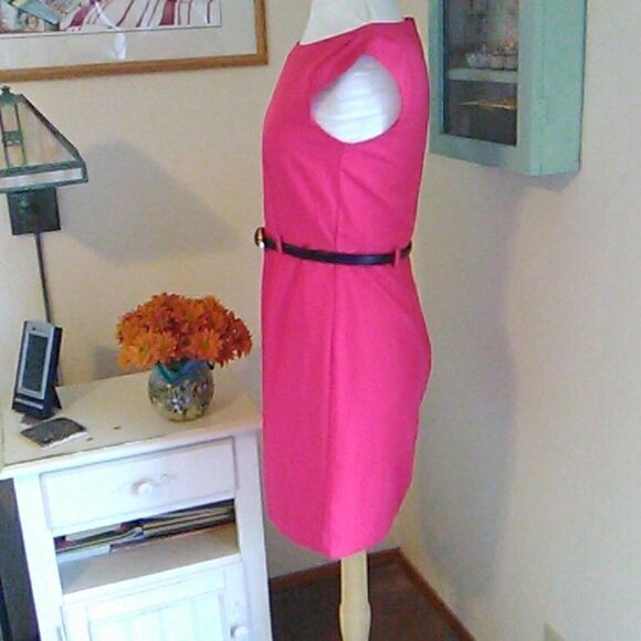 NWOT Banana Republic Deep Pink Sheath Dress - Picture 5 of 12
